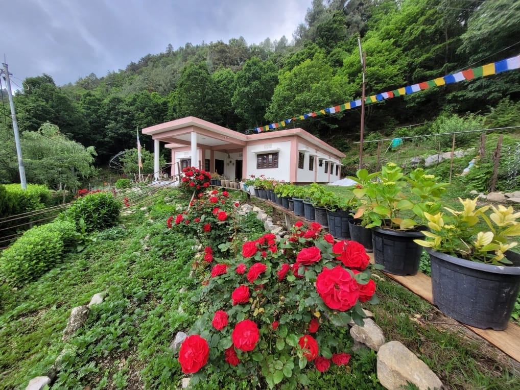 Pema Homestay surroundings
